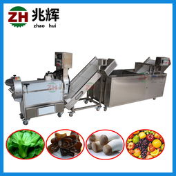 切肉機直銷 專業的果蔬清洗機推薦