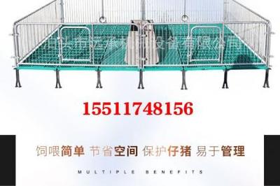 養(yǎng)殖機(jī)械母豬產(chǎn)床