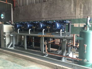 甘肅銷量領先的冷庫技術與張掖冷庫機械設備安裝銷售指南